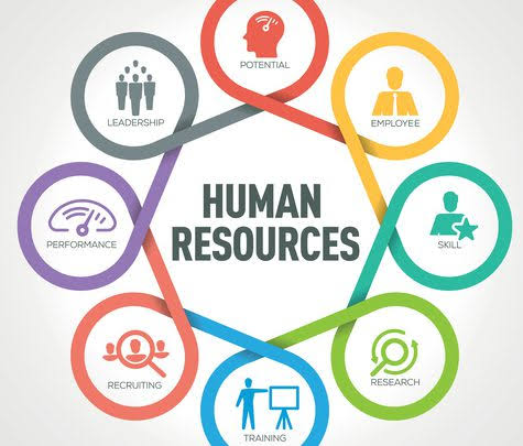 What Is Human Resource and Why Are They Important?